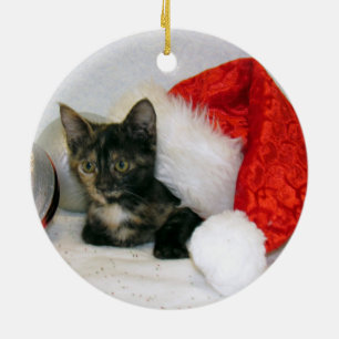 Katze, Kitten, Weihnachten, Rettung Keramik Ornament