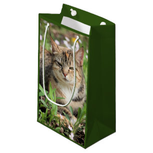Katze Kleine Geschenktüte