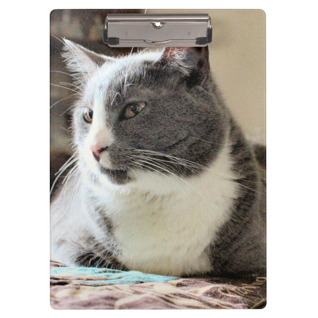 Katze Klemmbrett (Vorderseite)