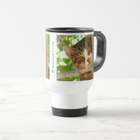 Katze Klettern am Baum Personalisiert
