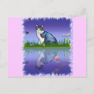 Katze kopieren postkarte