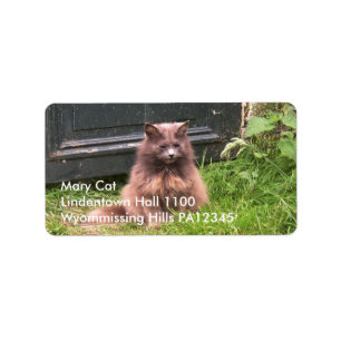 Katze "Kyra", der im Gras sitzt Adressaufkleber
