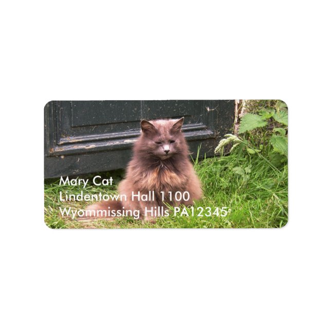 Katze "Kyra" im Gras Adressaufkleber (Vorne)