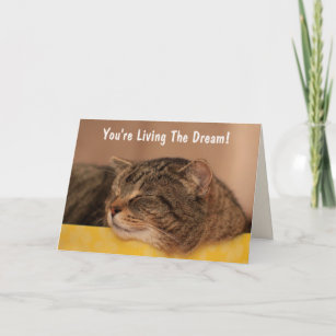 Katze lebt den Traum zum Geburtstag Karte