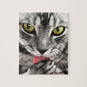 Katze leckt puzzle