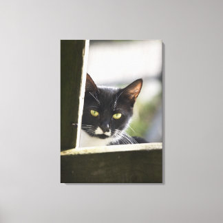 Katze Leinwanddruck