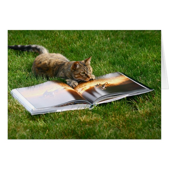 Katze lesen (Vorderseite (Horizontal))