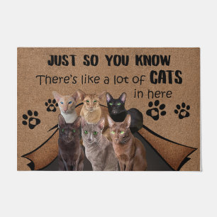 Katze Lover Doormat, Katze Willkommenmatte, lustig Fußmatte