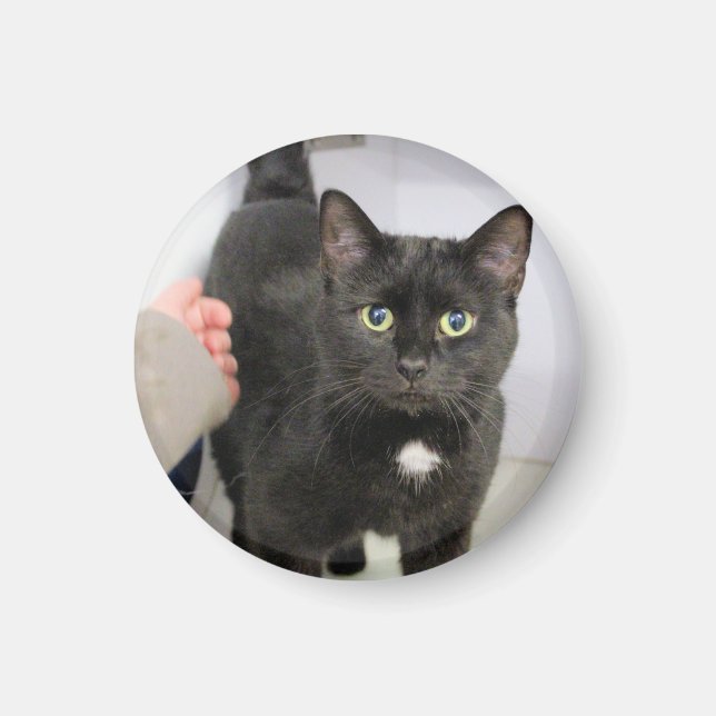 Katze Magnet (Vorne)