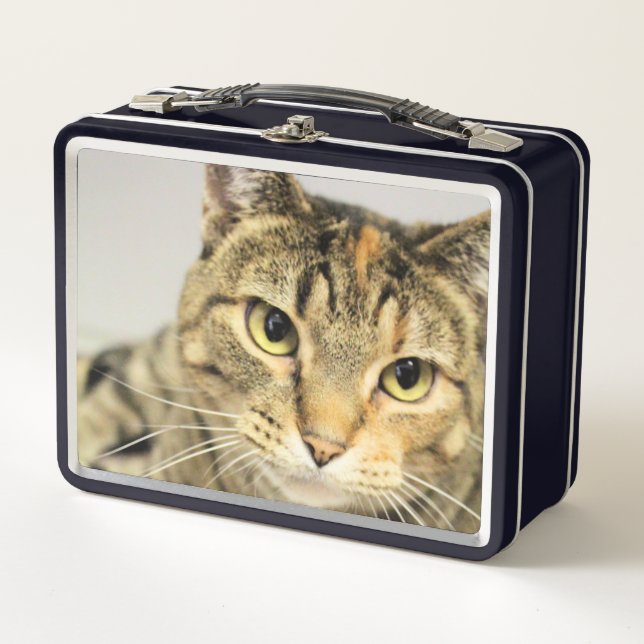 Katze Metall Brotdose (Vorderseite)