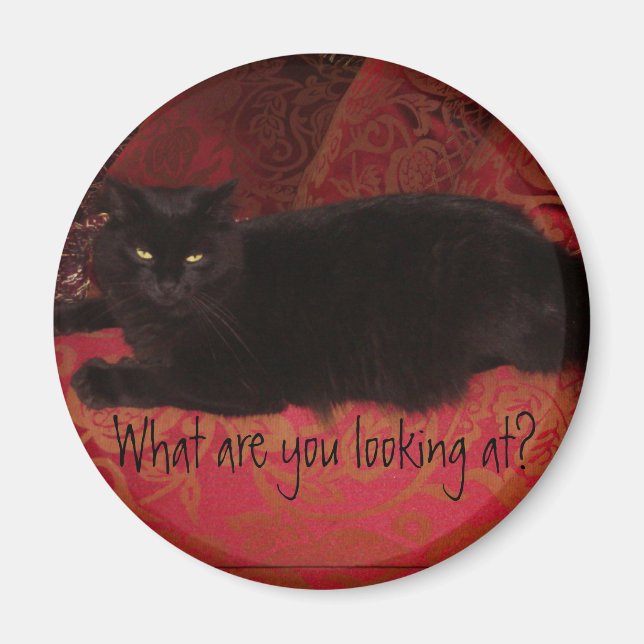 Katze mit Attitude Magnet (Vorne)