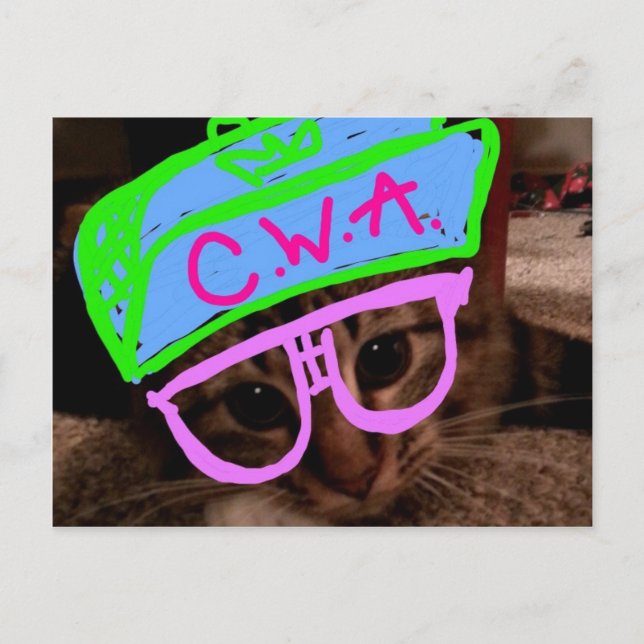 Katze mit Attitude Postkarte (Vorderseite)