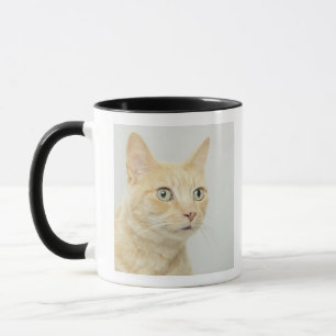 Katze mit Augen öffnen sich weit Tasse