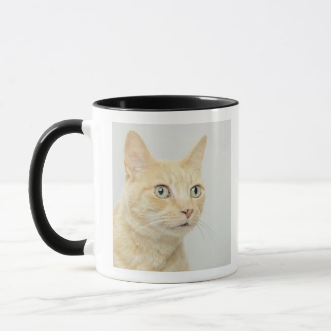 Katze mit Augen öffnen sich weit Tasse (Links)