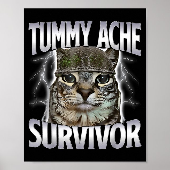 Katze mit Bauchschmerzen Überlebender Meme Lustige Poster (Vorne)