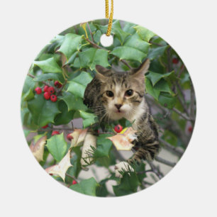 Katze mit Berries Holly Ornament