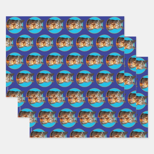 Katze mit Birthday-Schuhglas Geschenkpapier Set (Set)