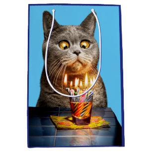 Katze mit Birthday-Schuhglas Mittlere Geschenktüte