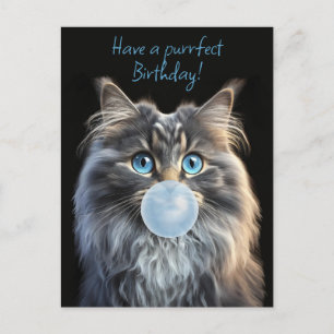 Katze mit blauen Augen, die einen blauen Kaugummi Postkarte