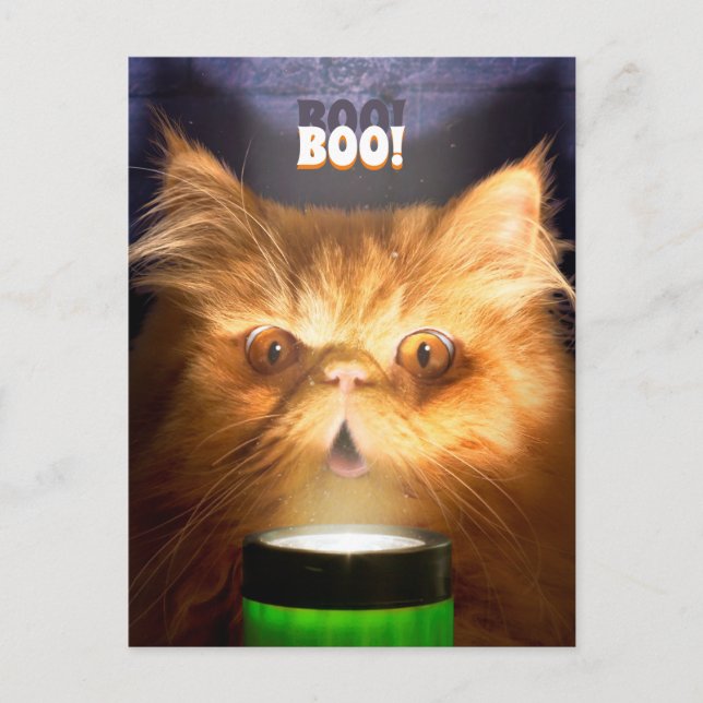 Katze mit Blitzlicht Einladungspostkarte (Vorderseite)