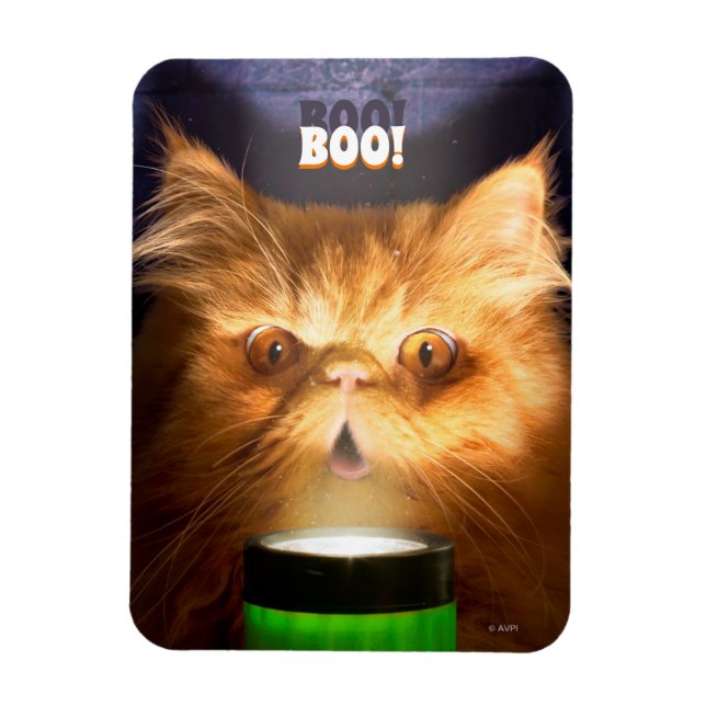 Katze mit Blitzlicht Magnet (Vertikal)