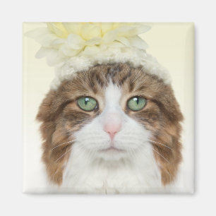 Katze mit Blume Hut Magnet