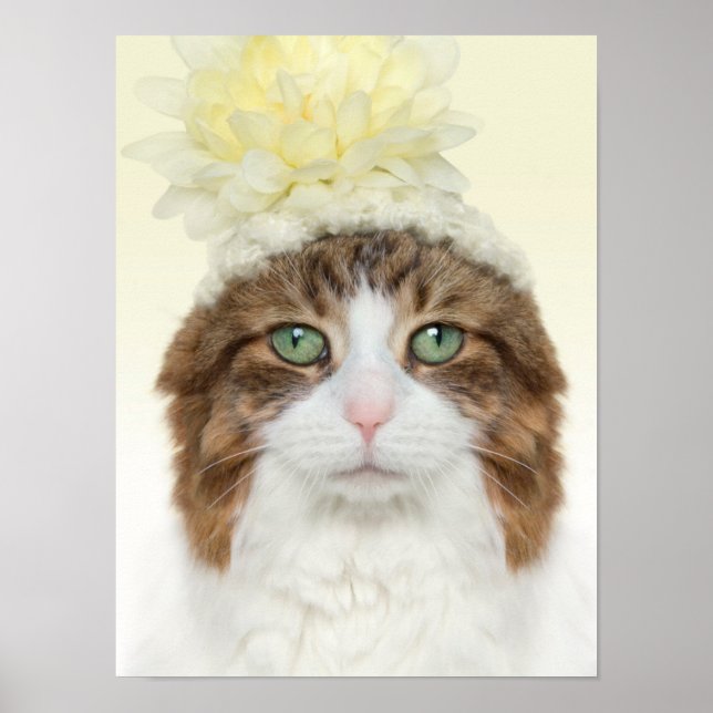 Katze mit Blume Hut Poster (Vorne)