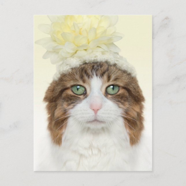 Katze mit Blume Hut Postkarte (Vorderseite)