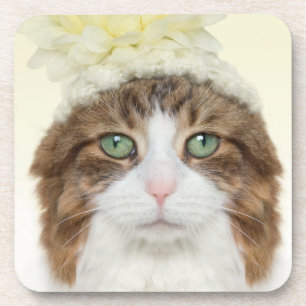Katze mit Blumen-Hut Untersetzer
