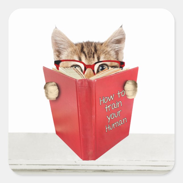Katze mit Brille und Rotes Buch Quadratischer Aufkleber (Vorderseite)