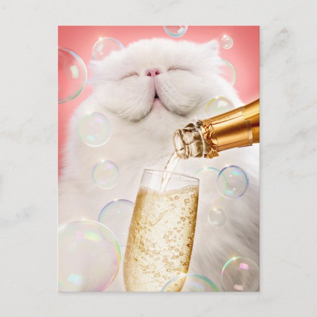 Katze mit Champagner Einladungspostkarte (Vorderseite)