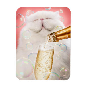 Katze mit Champagner Magnet