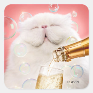 Katze mit Champagner Quadratischer Aufkleber