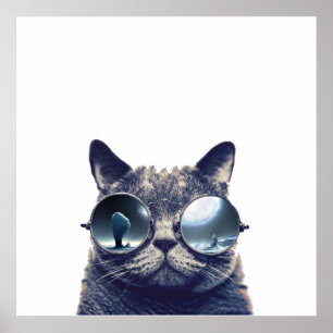 Katze mit cooler Sonnenbrille Poster