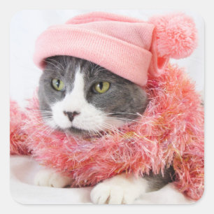 Katze mit den rosa Hut-Quadrat-Aufklebern, glatt Quadratischer Aufkleber