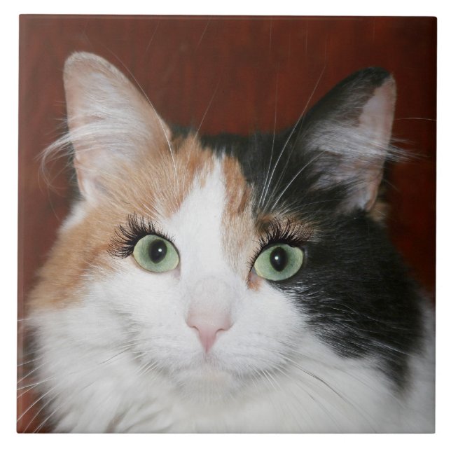 Katze mit den Wimpern Fliese (Vorderseite)