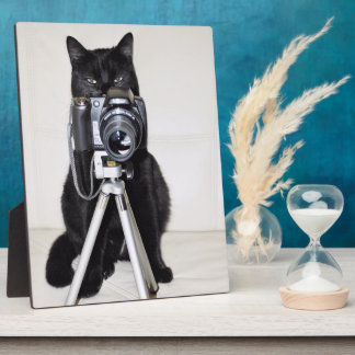Katze mit der Kamera Fotoplatte