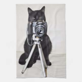 Katze mit der Kamera Geschirrtuch