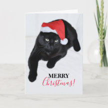 Katze mit der Roten Weihnachtsmannmütze