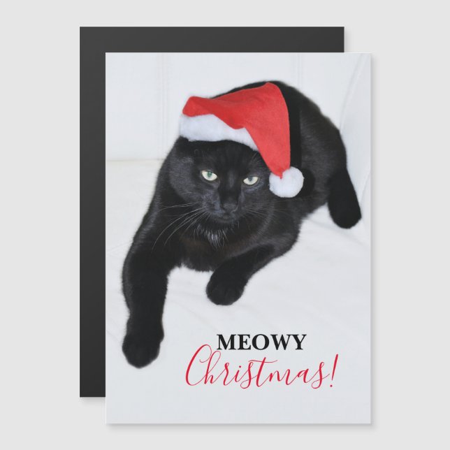 Katze mit der roten Weihnachtsmannmütze Magnetkarte (Vorne/Hinten)