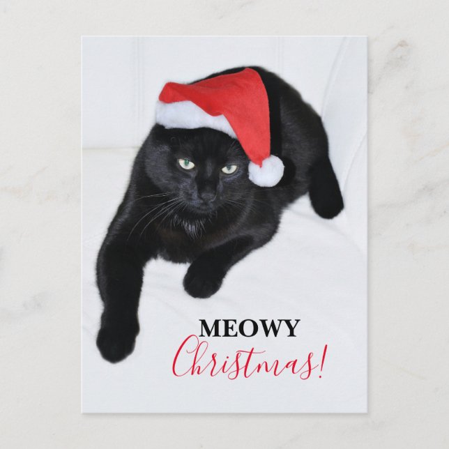 Katze mit der Roten Weihnachtsmannmütze Postkarte (Vorderseite)