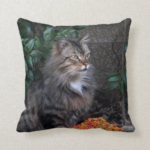 Katze mit einem dankbaren Herz-Kissen Kissen