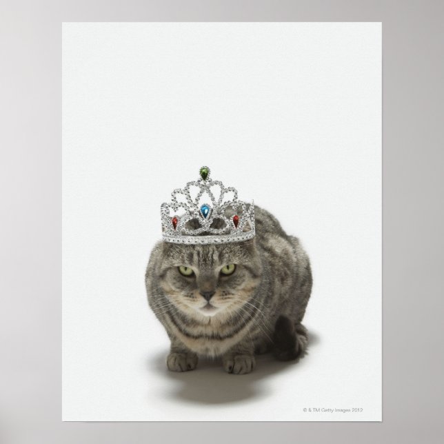 Katze mit einem Tiara Poster (Vorne)