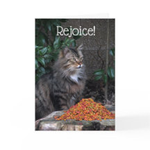 Katze mit einer Ostern-Wunder-Karte