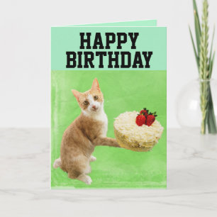 KATZE MIT GEBURTSTAG KAKE BIG GREETING CARD KARTE