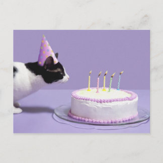 Katze mit Geburtstagshut, die Kerzen ausbläst Postkarte