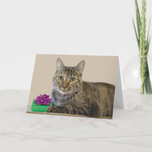 Katze mit Geschenk Geburtstagkarte Karte