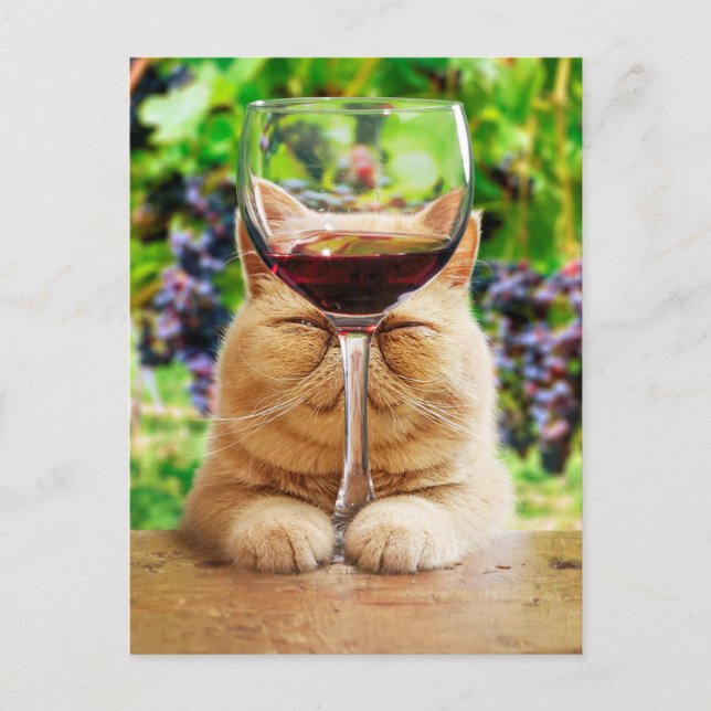 Katze mit Glas Wein Einladungspostkarte (Vorderseite)