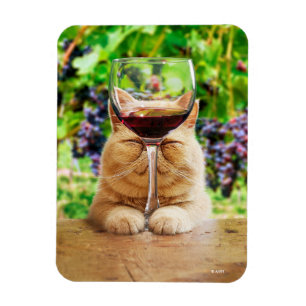 Katze mit Glas Wein Magnet
