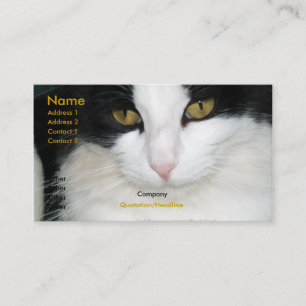 Katze mit goldener Augen-Visitenkarte Visitenkarte
